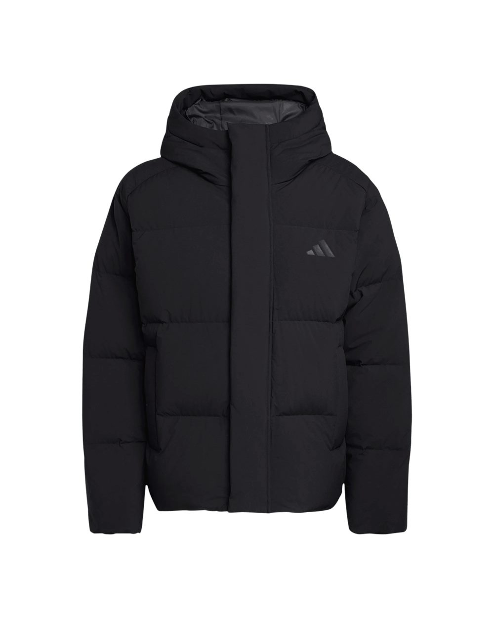 Men's Helonic Down Puffer Hooded Jacket